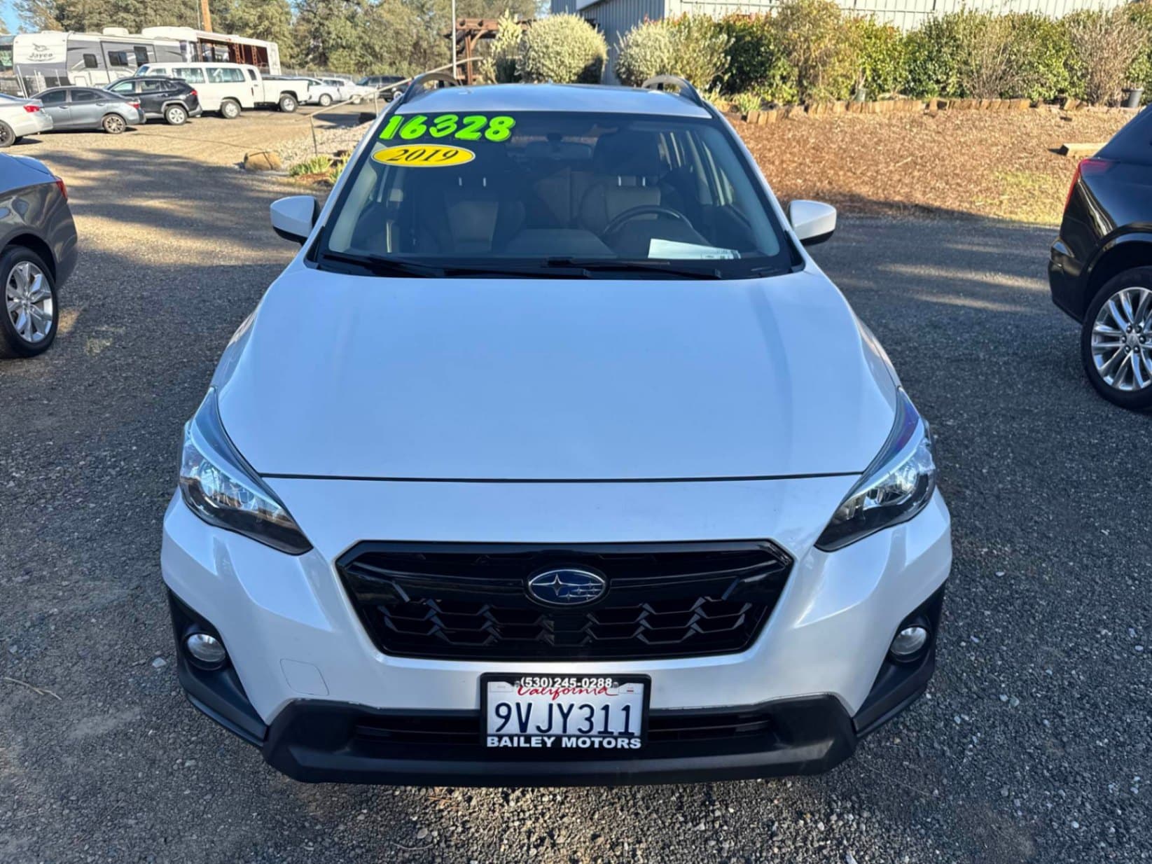 Car Picture