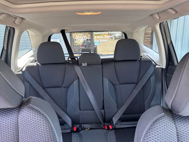 Car Picture